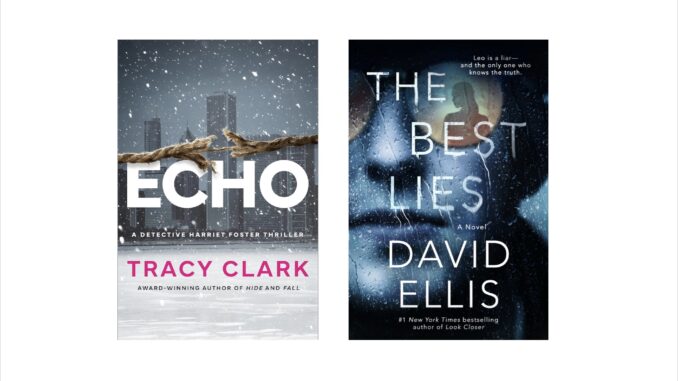 Echo : The Best Lies - Book Covers